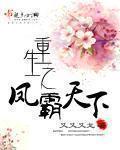 重生之凤霸天下免费阅读全文