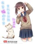 猫 日常