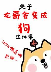 龙哥下一句