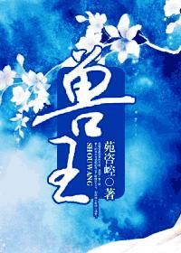 兽王力量