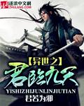 异世之君临天下无错版