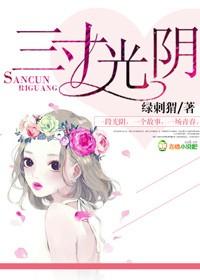 三寸光阴一个鑫的含义