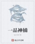 一品女神捕