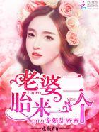 一胎二宝总裁宠妻太甜蜜