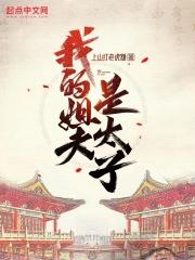 我的姐夫是太子全文阅读