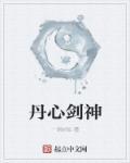 丹武剑神