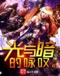 光与暗的奏鸣完整版