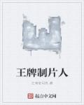 王牌制片人游戏5星艺人