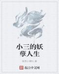 小三的悲惨生活
