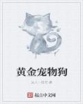 宠物黄金点