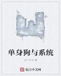 单身狗终结系统免费阅读