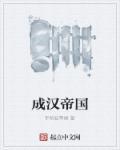 汉成帝叫什么那个字念什么