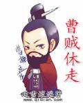 曹贼的全部梗