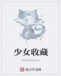 美少女收藏家