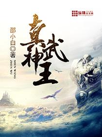 真武神王短剧