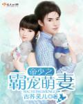 帝少总裁霸宠小萌妻