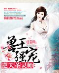 兽王独宠逆天圣灵师