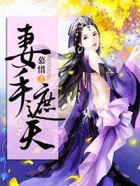 全能妻子