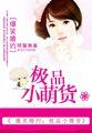 爆笑小萌妃连城