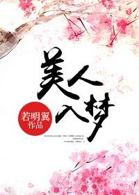 美人入殓免费阅读