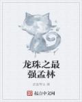 龙珠之最强选择