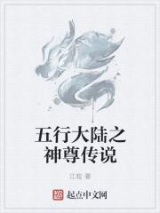 五行大陆讲的是什么