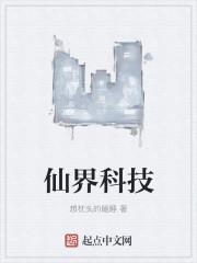 仙界科技TXT奇书网