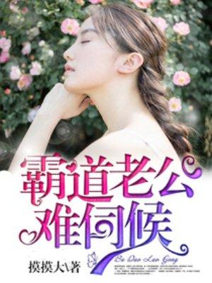 霸道老公太