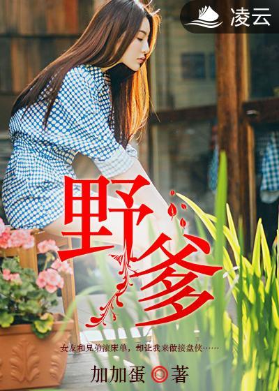 野爹是啥