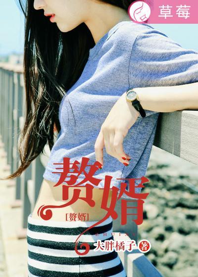 赘婿完结了吗