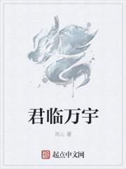 男主角叶君临