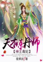 神王毒妃二嫁王妃全文阅读