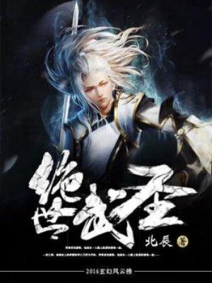 绝世武圣境界等级划分