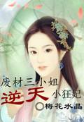 废柴三小姐逆天狂妃