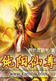 纯阳仙尊人物介绍