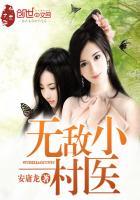 无敌村医叶小宝txt