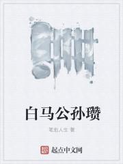 公孙瓒为什么叫白马义从