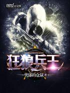 狂霸兵王全文
