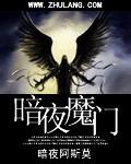 暗夜魔王解析