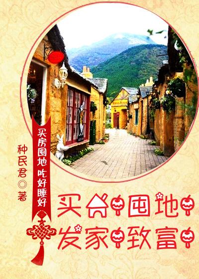 买房囤地发家致富TXT主攻文