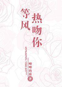 等风热吻你高能章节