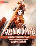 大唐仙踪