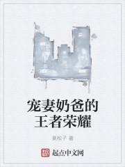 宠妻奶爸我的