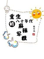 八十年代的麻辣军嫂免费阅读