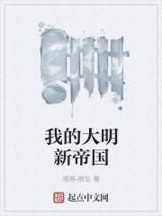 我的大明新帝国第二章