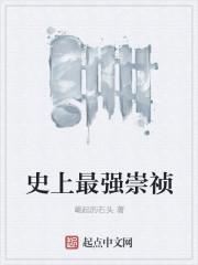 史上最强崇祯全文