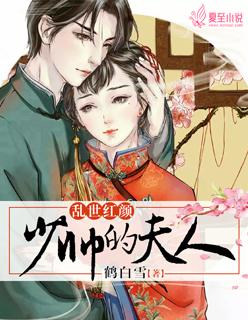 乱世红颜:少帅的夫人