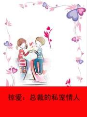 掠爱：总裁的私宠情人